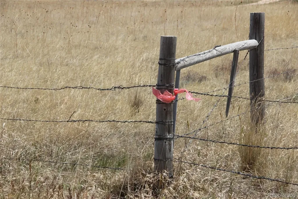 County Road 133 Simla CO 80835