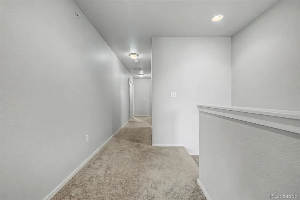 3502 Big Ben Drive Fort Collins CO 80526
