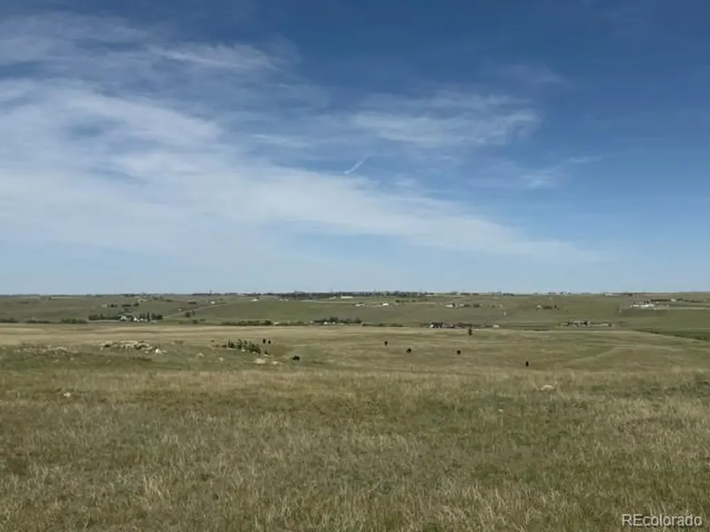 Tbd S State Highway 83 - 140 Acres Franktown CO 80116
