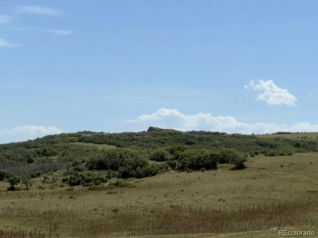 Tbd S State Highway 83 - 140 Acres Franktown CO 80116