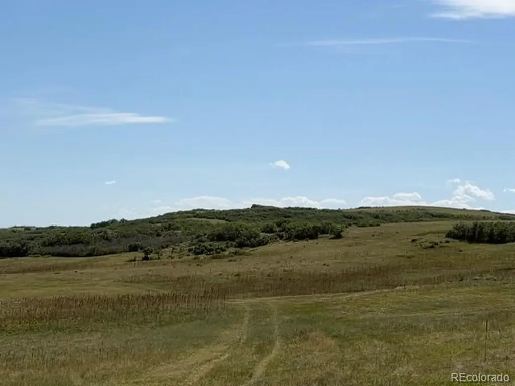 Tbd S State Highway 83 - 140 Acres Franktown CO 80116