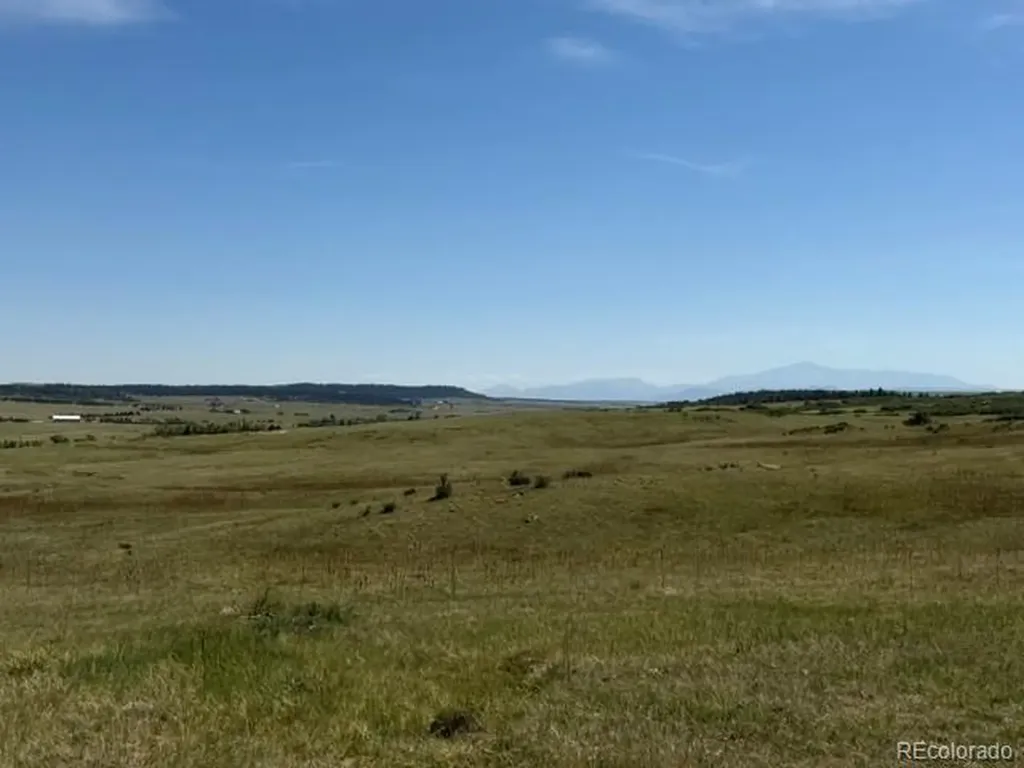 Tbd S State Highway 83 - 140 Acres Franktown CO 80116