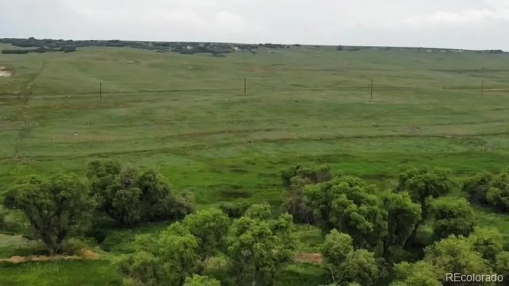 Tbd S State Highway 83 - 140 Acres Franktown CO 80116