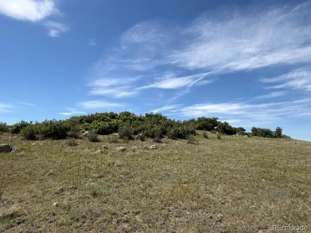 Tbd S State Highway 83 - 140 Acres Franktown CO 80116