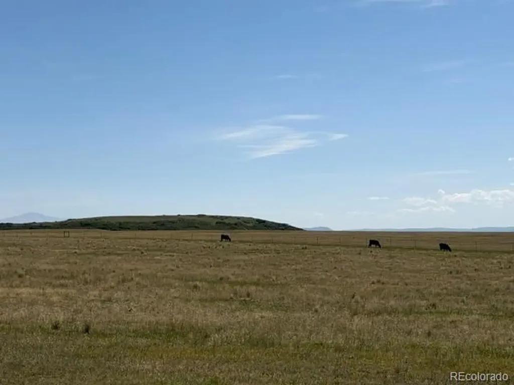 Tbd S State Highway 83 - 140 Acres Franktown CO 80116