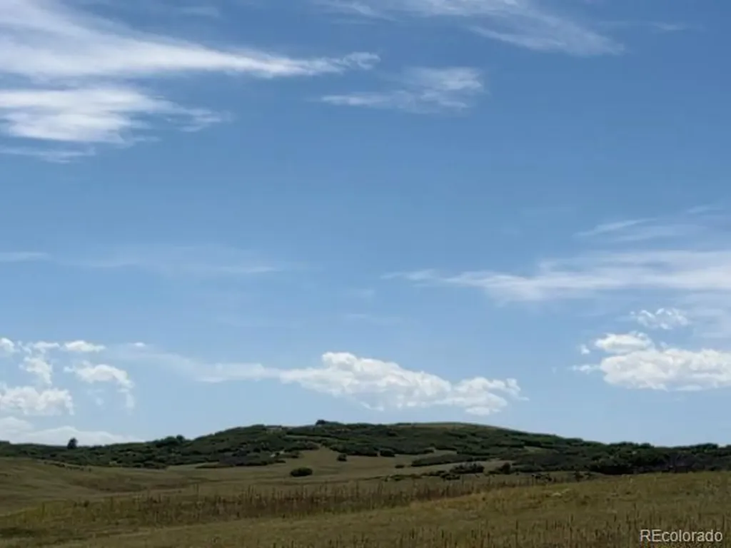 Tbd S State Highway 83 - 140 Acres Franktown CO 80116
