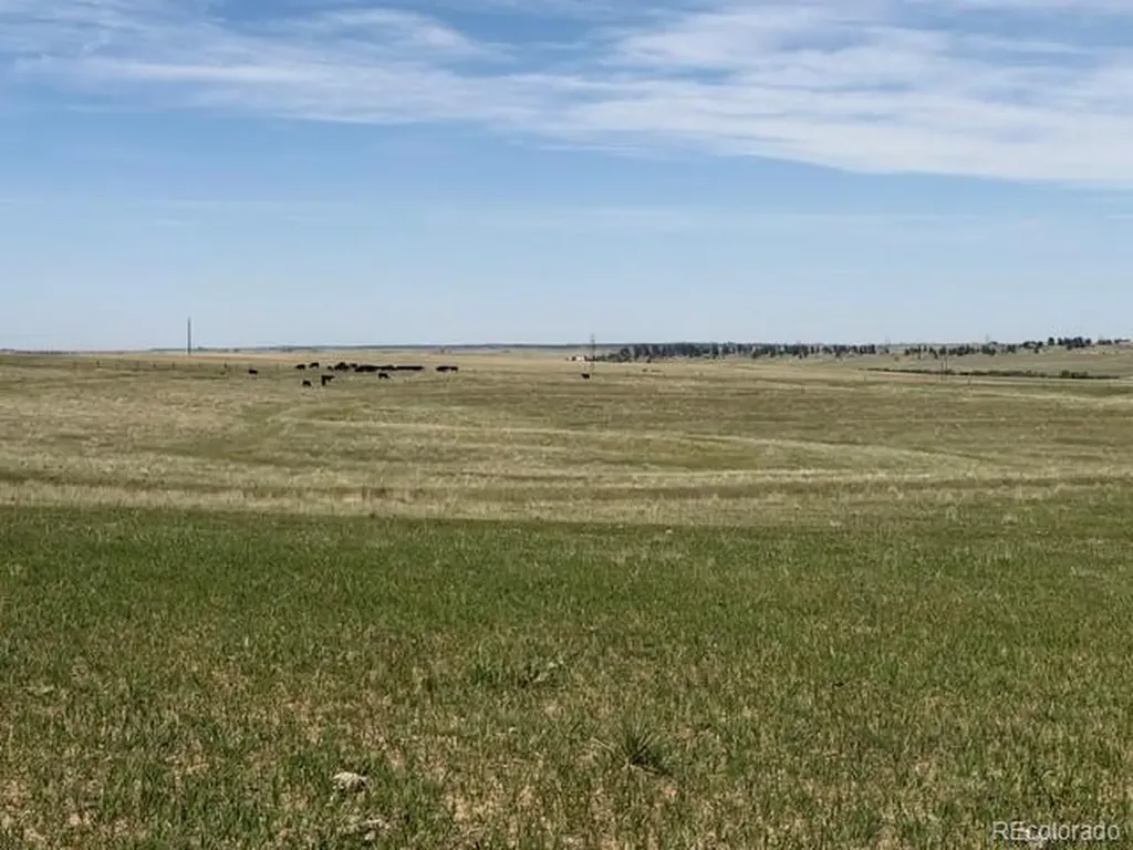 Tbd S State Highway 83 - 140 Acres Franktown CO 80116