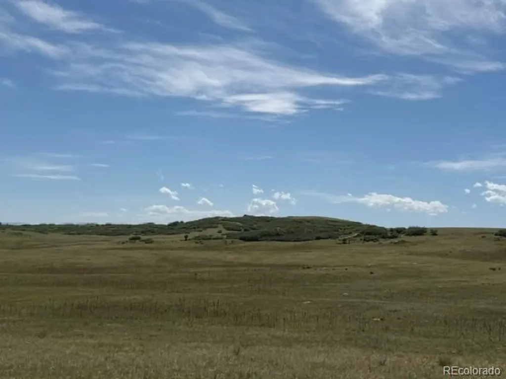 Tbd S State Highway 83 - 140 Acres Franktown CO 80116