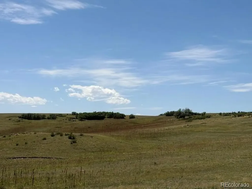 Tbd S State Highway 83 - 140 Acres Franktown CO 80116