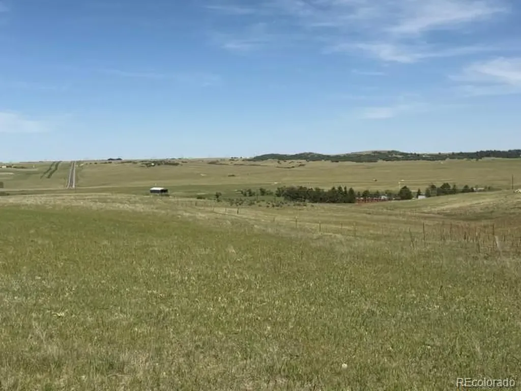 Tbd S State Highway 83 - 140 Acres Franktown CO 80116