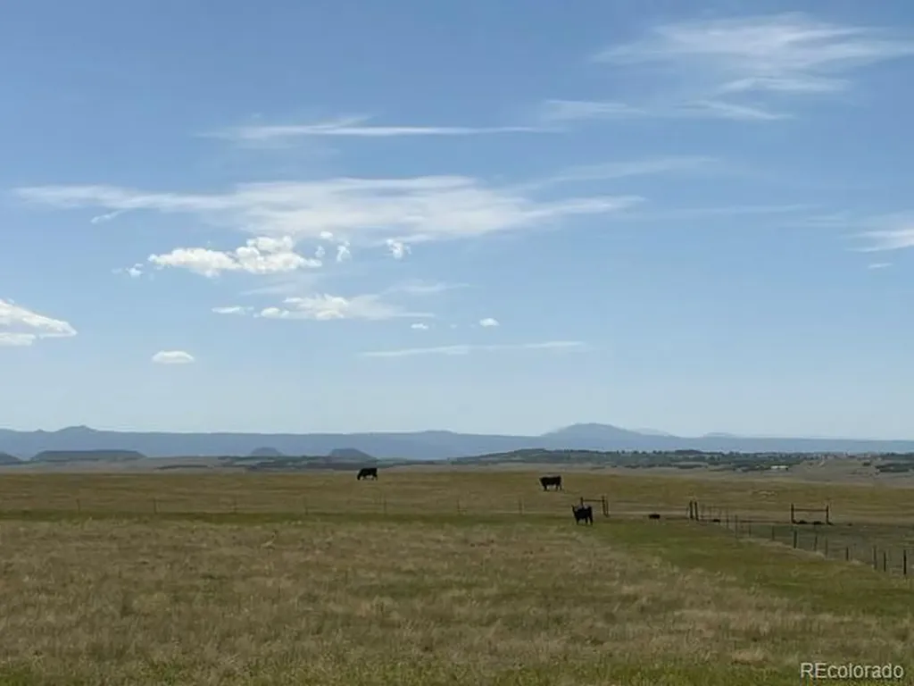 Tbd S State Highway 83 - 140 Acres Franktown CO 80116