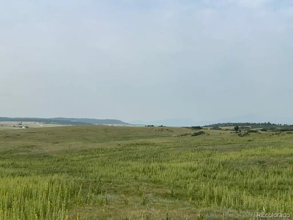 Tbd S State Highway 83 - 140 Acres Franktown CO 80116