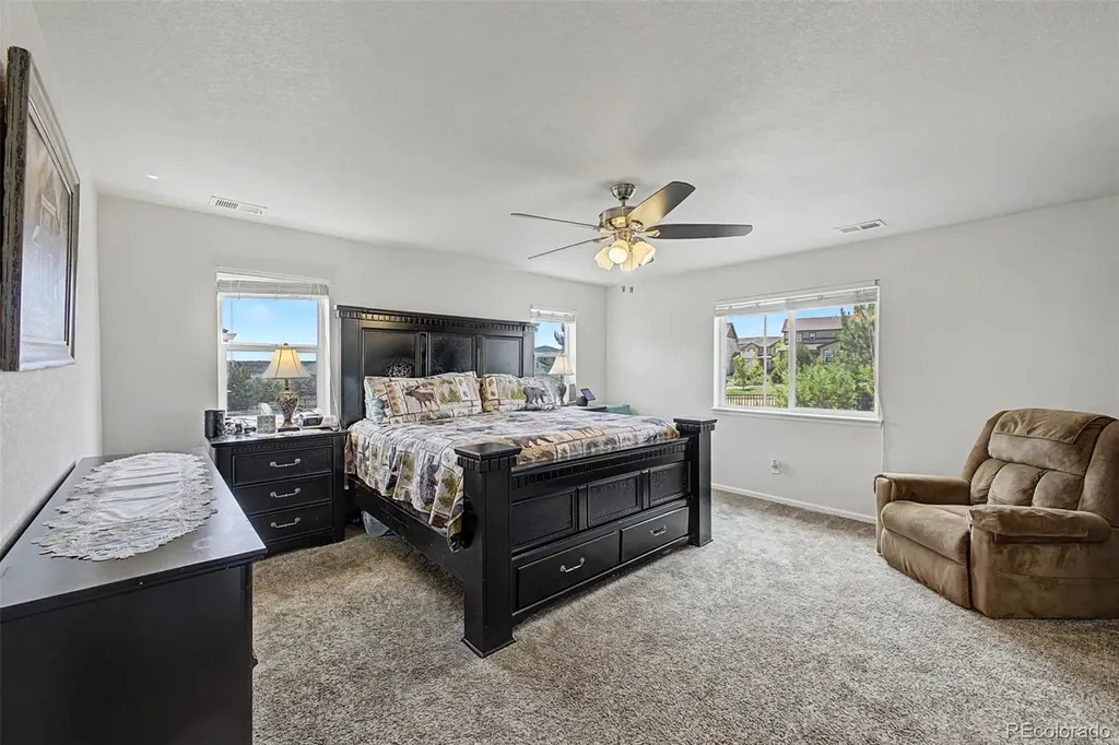 7514 Blue Water Drive Castle Rock CO 80108