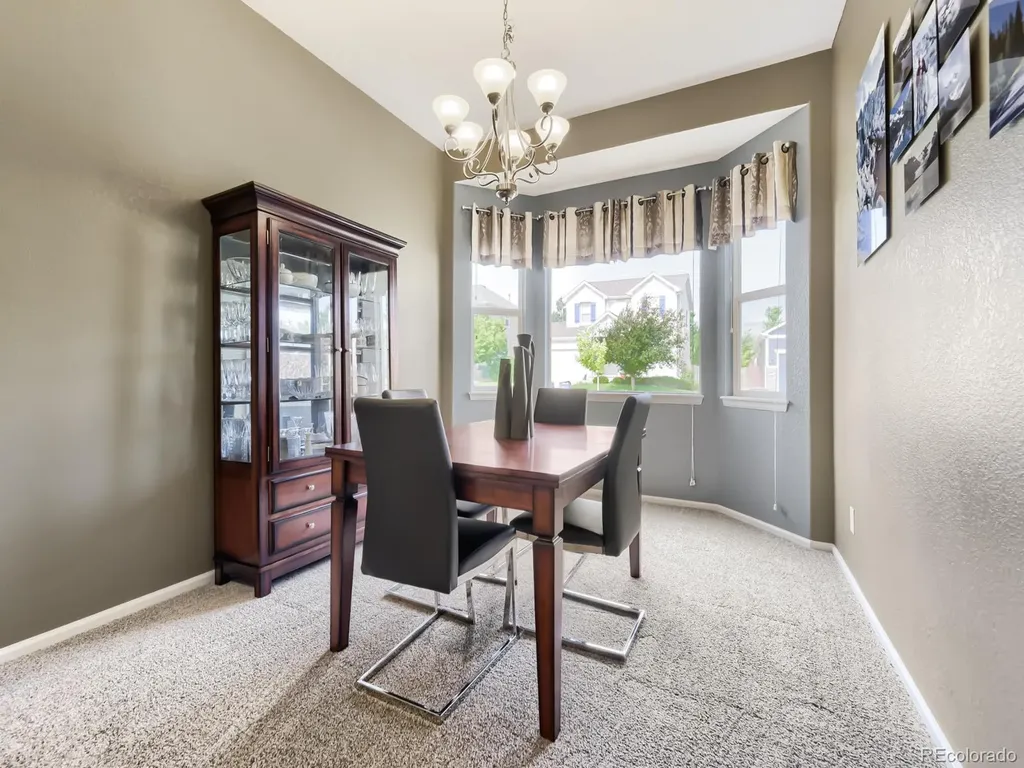 17014 Blue Indigo Lane Parker CO 80134