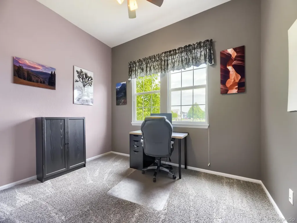 17014 Blue Indigo Lane Parker CO 80134