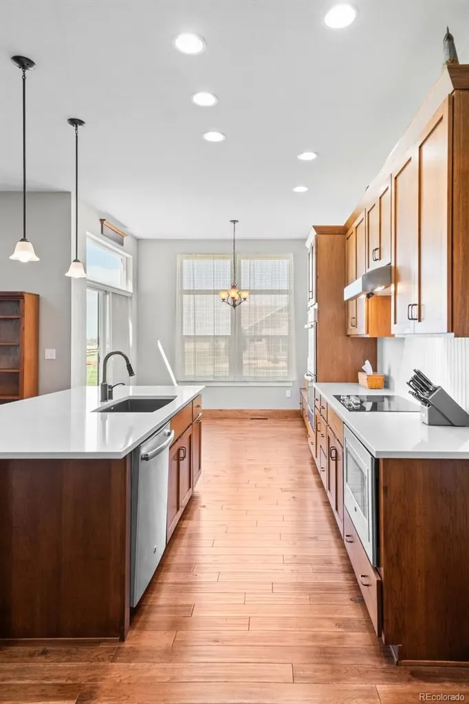 430 Sheldon Avenue Castle Rock CO 80104