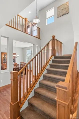 430 Sheldon Avenue Castle Rock CO 80104