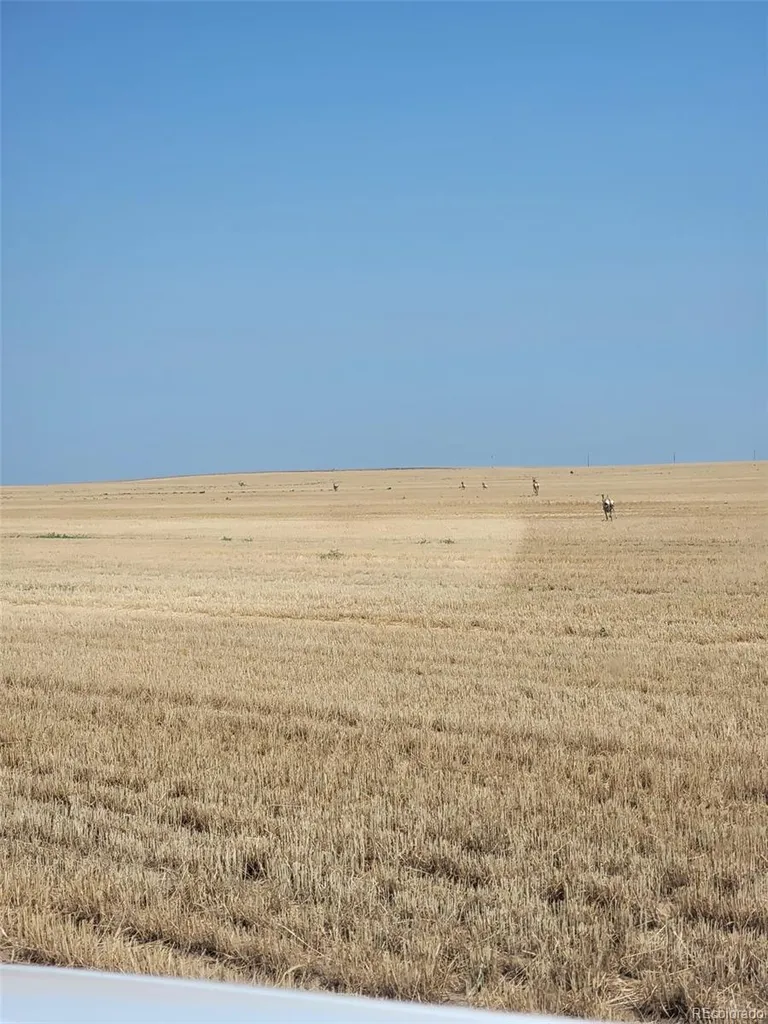 0 County Road 75 Roggen CO 80652