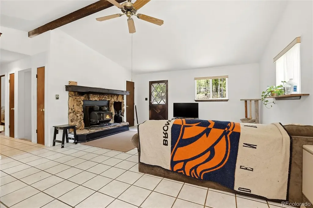 175 Mount Bailey Drive Bailey CO 80421