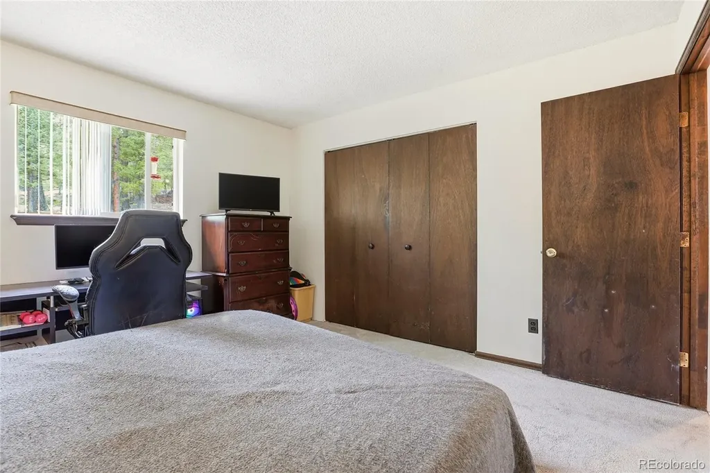 175 Mount Bailey Drive Bailey CO 80421