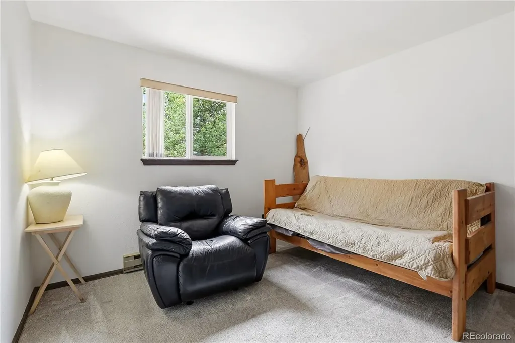 175 Mount Bailey Drive Bailey CO 80421