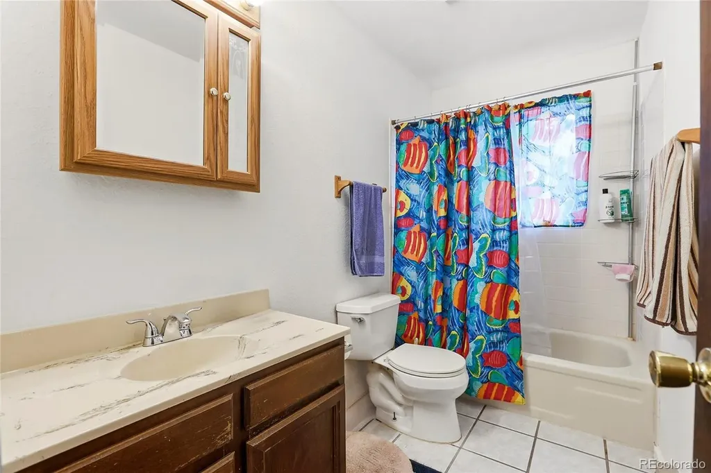 175 Mount Bailey Drive Bailey CO 80421