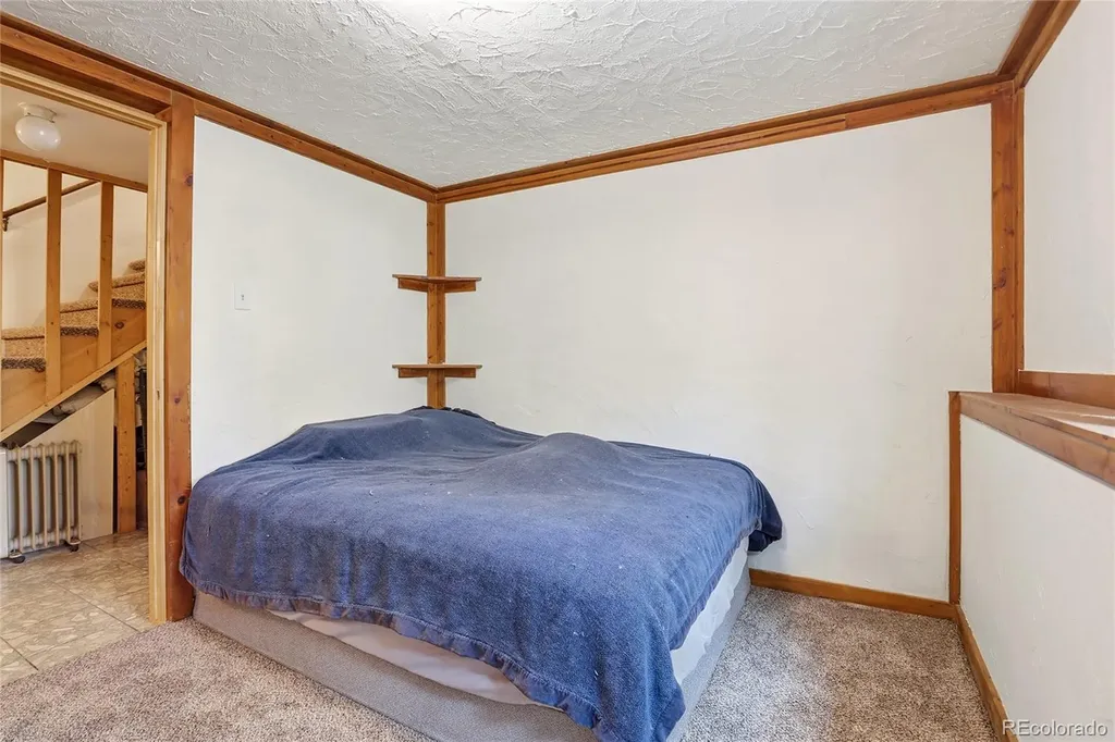 175 Mount Bailey Drive Bailey CO 80421