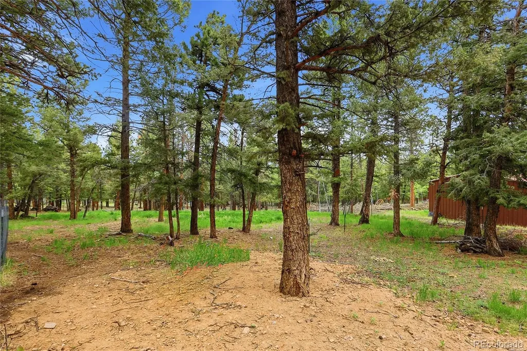 175 Mount Bailey Drive Bailey CO 80421