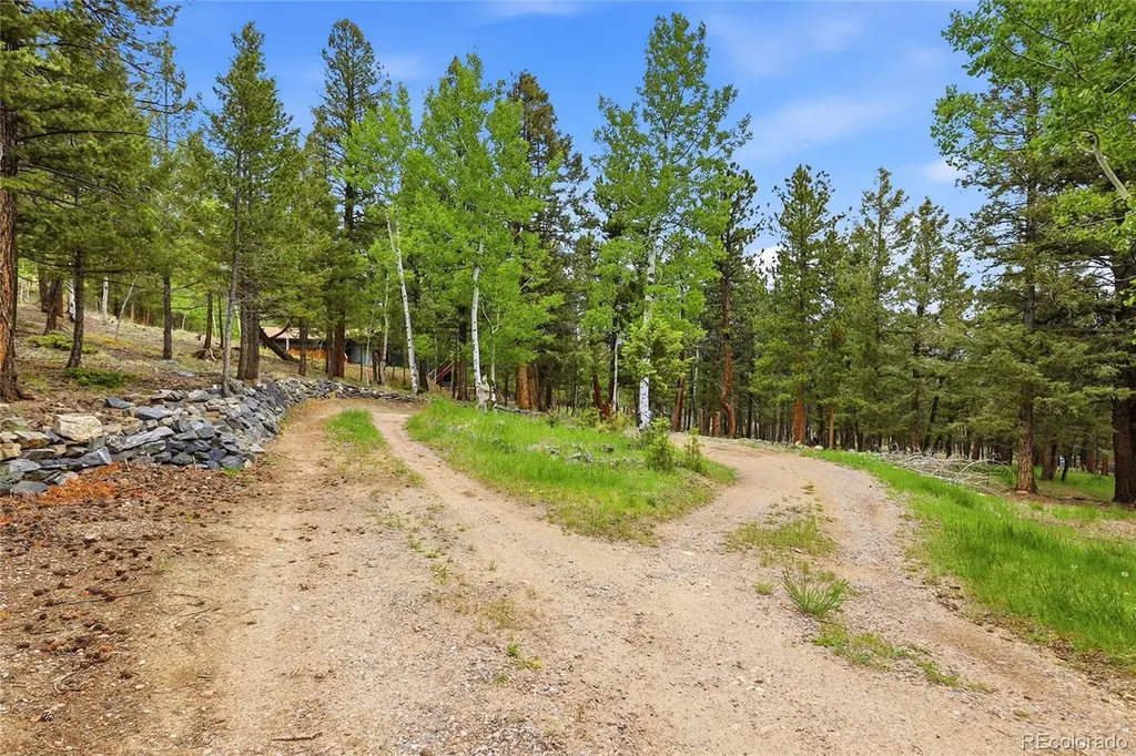 175 Mount Bailey Drive Bailey CO 80421