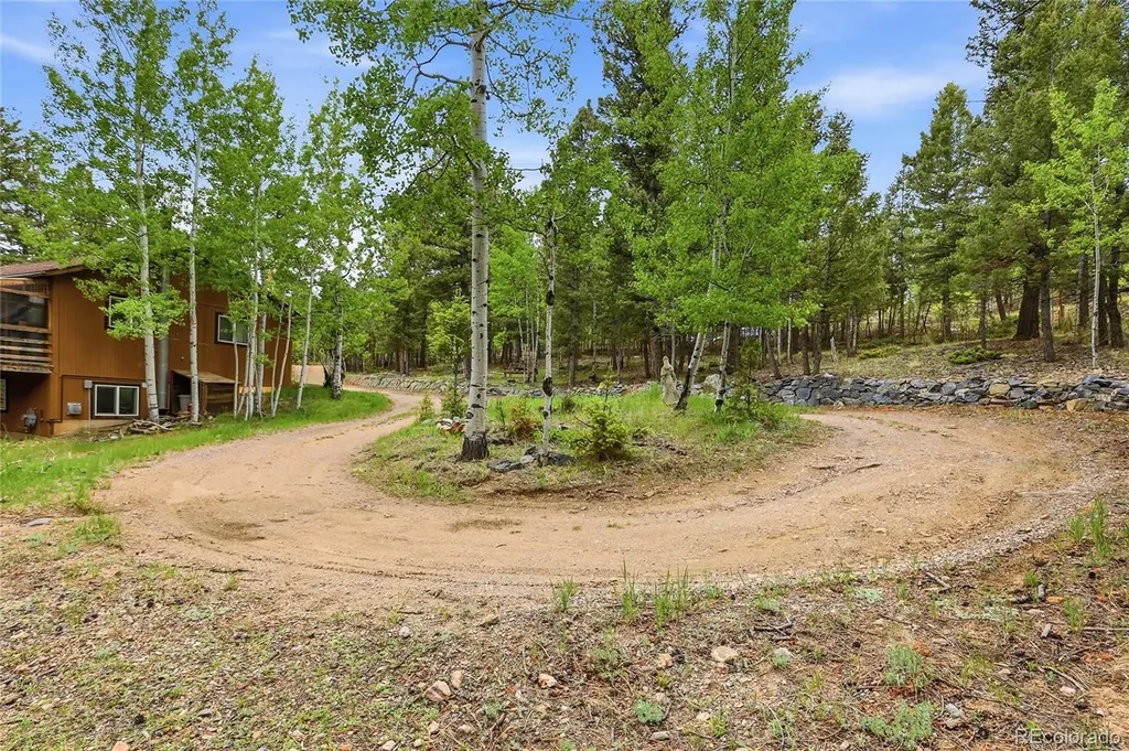 175 Mount Bailey Drive Bailey CO 80421