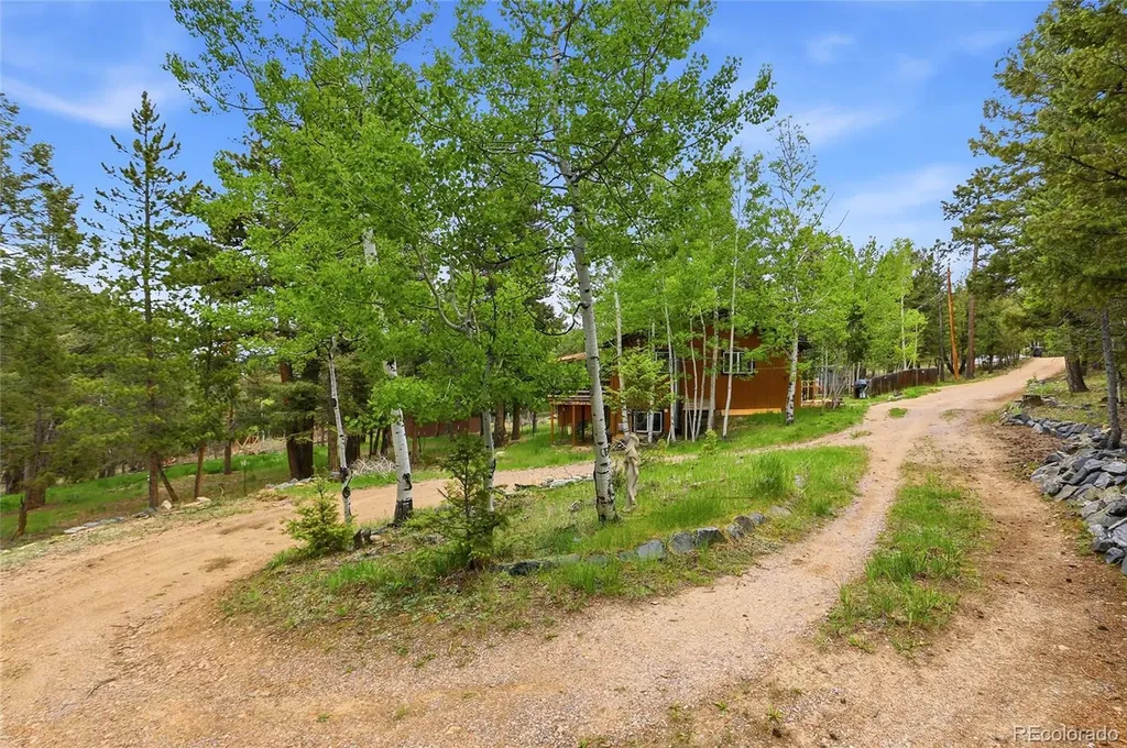 175 Mount Bailey Drive Bailey CO 80421