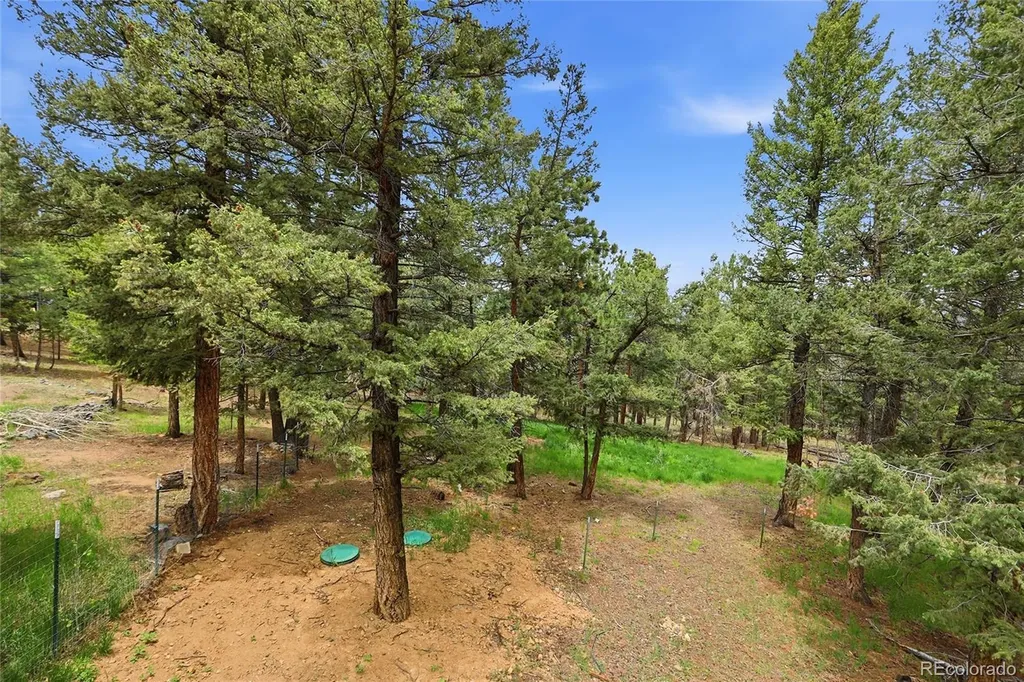 175 Mount Bailey Drive Bailey CO 80421