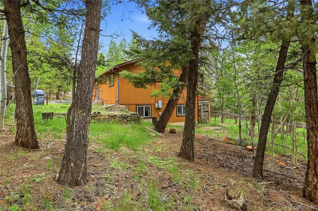 175 Mount Bailey Drive Bailey CO 80421