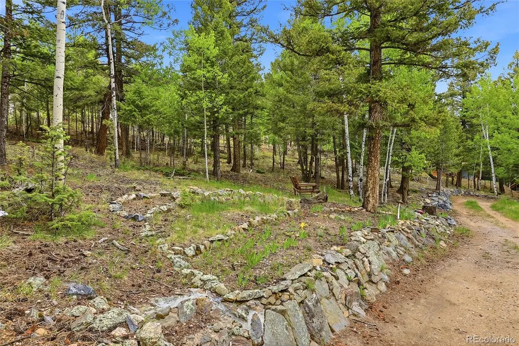 175 Mount Bailey Drive Bailey CO 80421