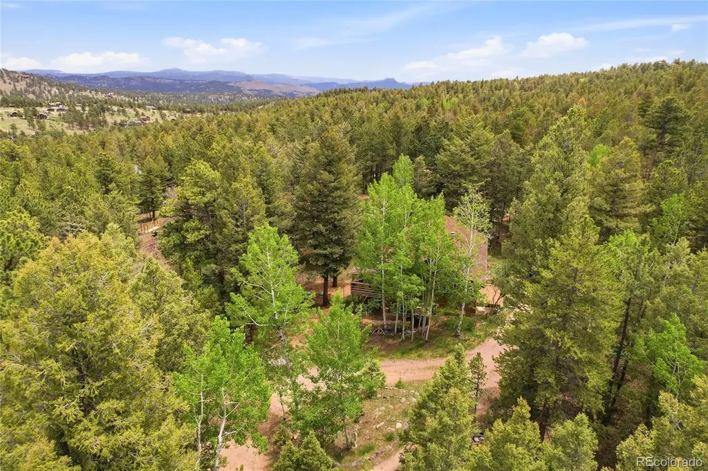 175 Mount Bailey Drive Bailey CO 80421