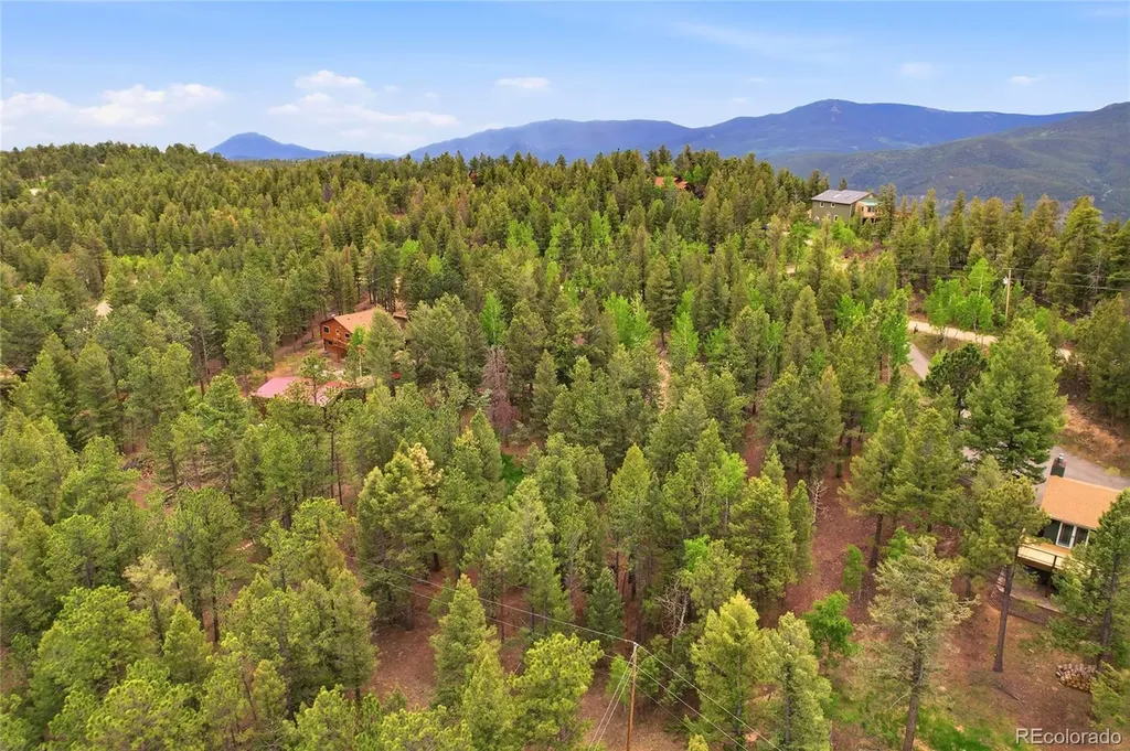 175 Mount Bailey Drive Bailey CO 80421