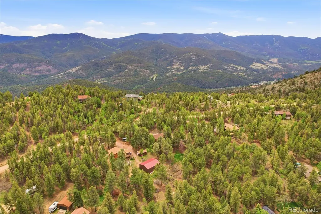 175 Mount Bailey Drive Bailey CO 80421