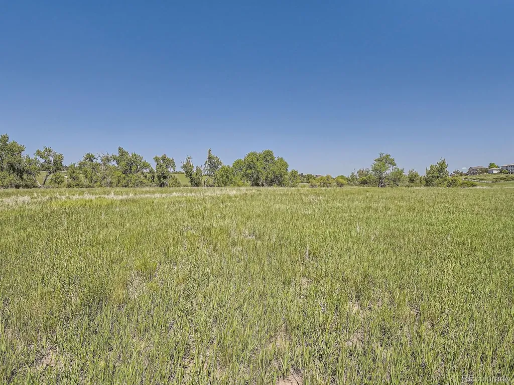 10443 Tomahawk Road Parker CO 80138