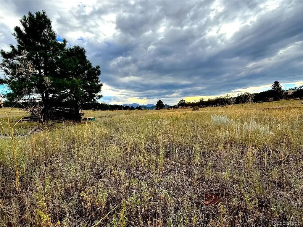 Tbd #2, 23rd Trail Cotopaxi CO 81223