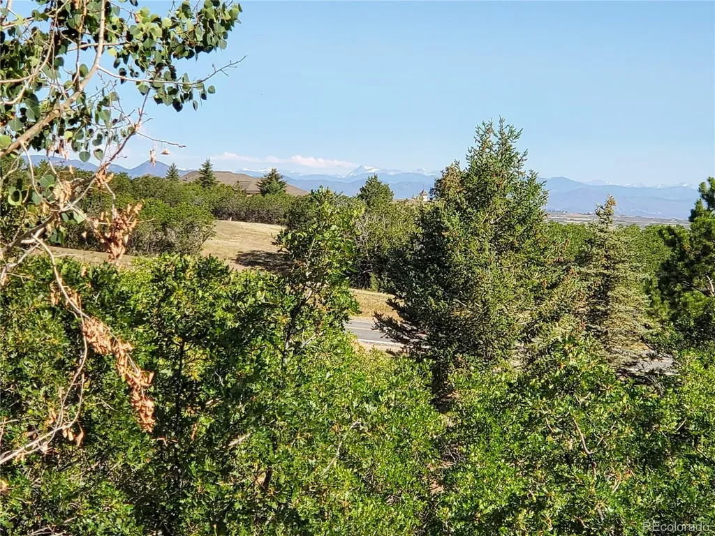 2941 Castle Butte Drive Castle Rock CO 80109