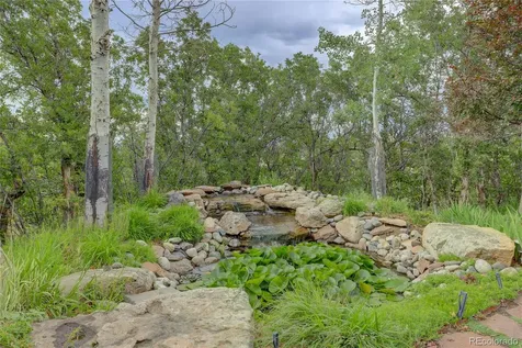 2941 Castle Butte Drive Castle Rock CO 80109