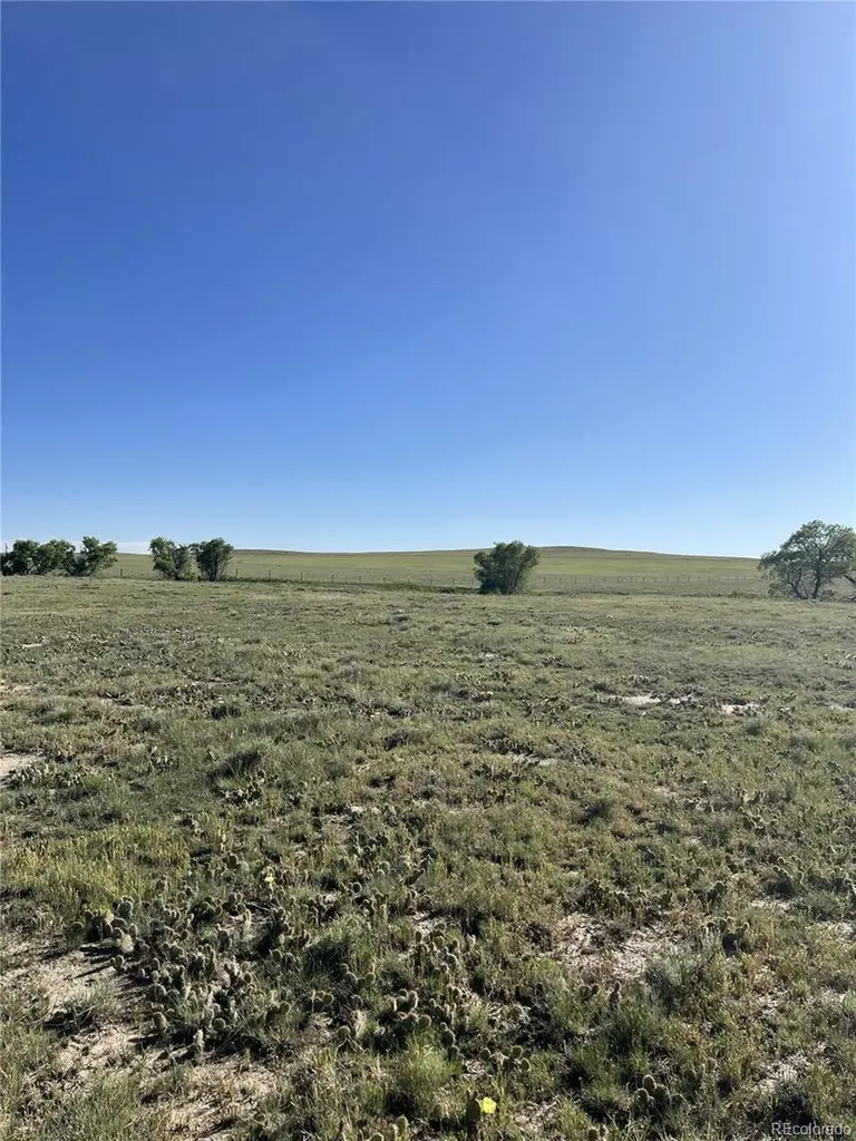 27933 Private Road 139 Simla CO 80835