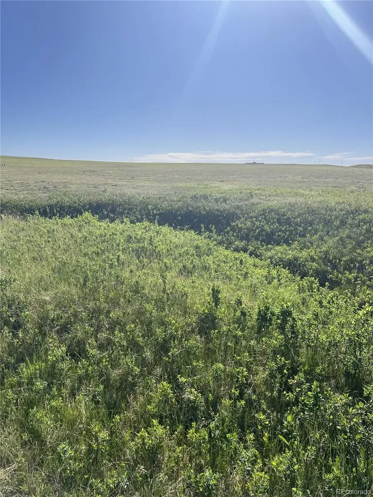 27933 Private Road 139 Simla CO 80835