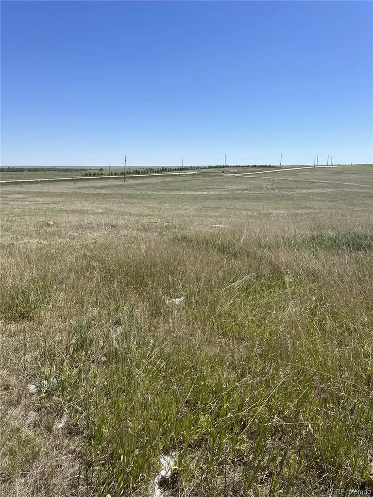 27933 Private Road 139 Simla CO 80835