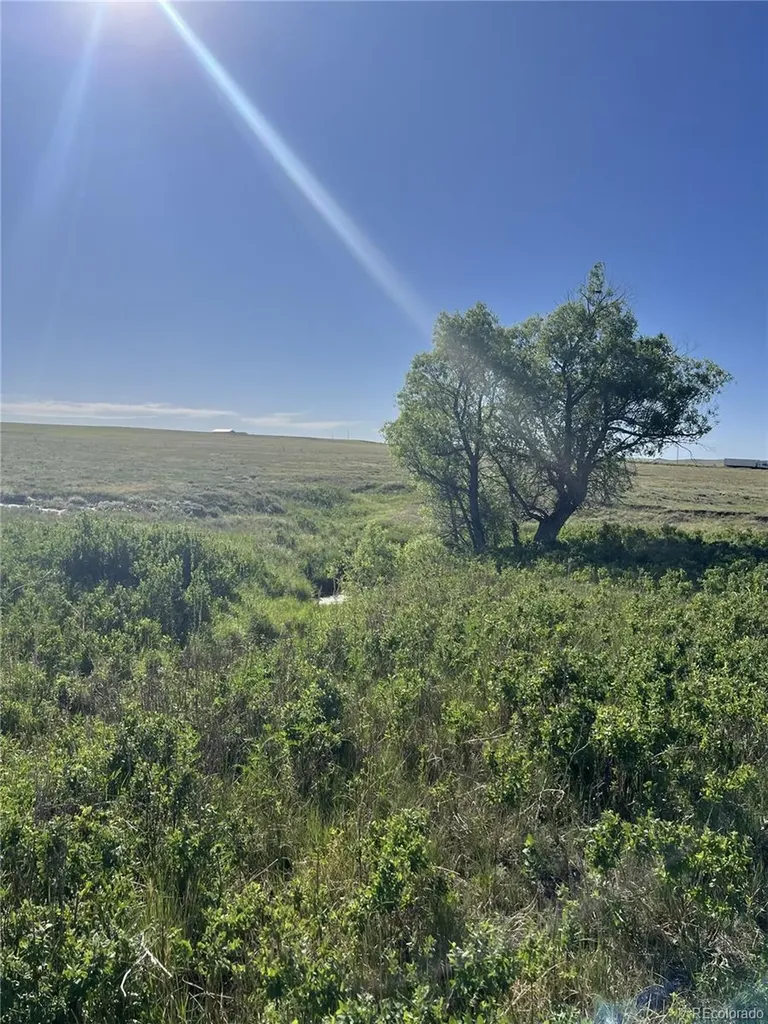 27933 Private Road 139 Simla CO 80835