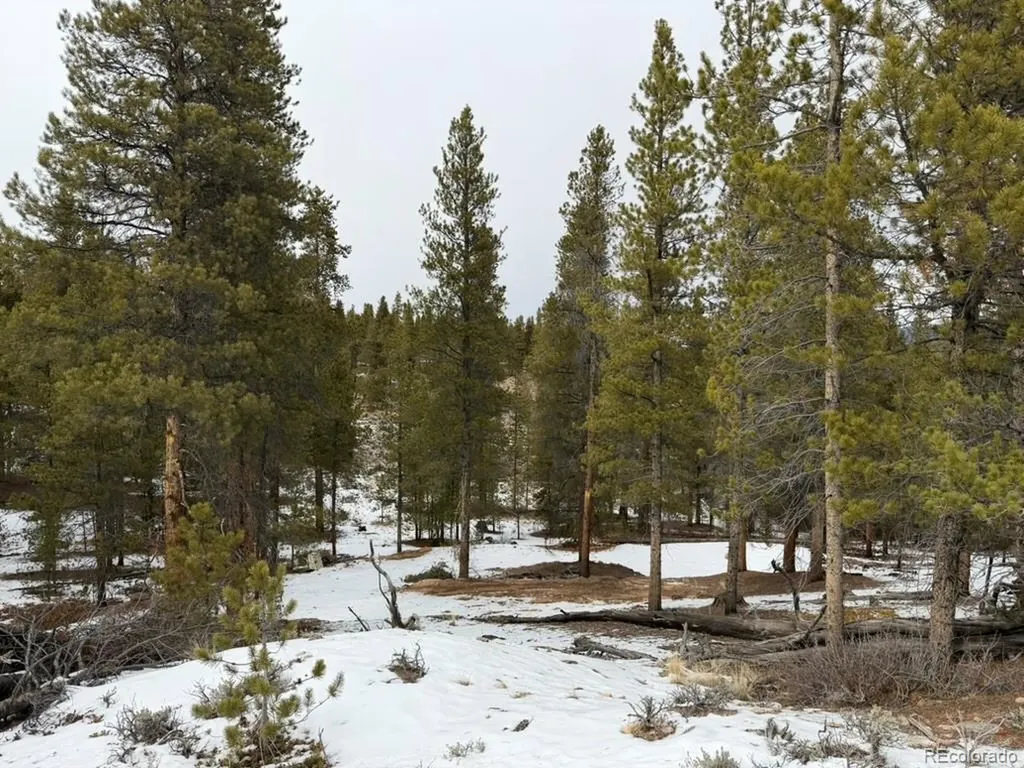124 Lodgepole Drive Twin Lakes CO 81251