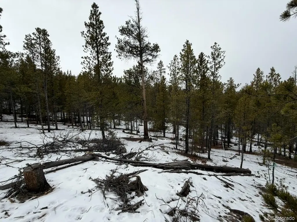 124 Lodgepole Drive Twin Lakes CO 81251