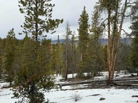 124 Lodgepole Drive Twin Lakes CO 81251