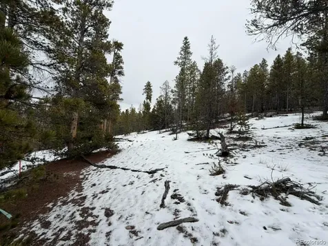 124 Lodgepole Drive Twin Lakes CO 81251