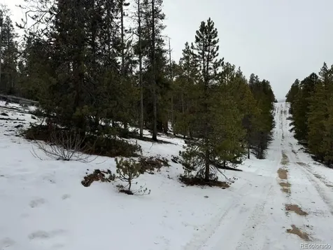 124 Lodgepole Drive Twin Lakes CO 81251